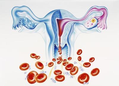 月經(jīng)一般來幾天算正常？從周期與生殖激素角度解讀你的健康狀況